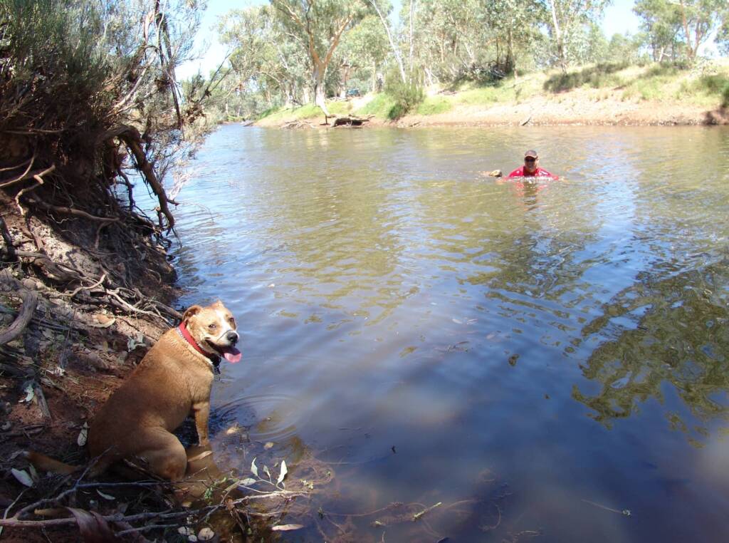 Pet friendly Redbank Waterhole, Owen Springs Reserve, NT
