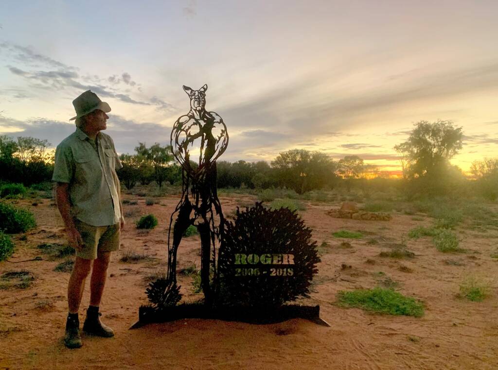 Brolga next to the Roger memorial at the Kangaroo Sanctuary, Alice Springs
