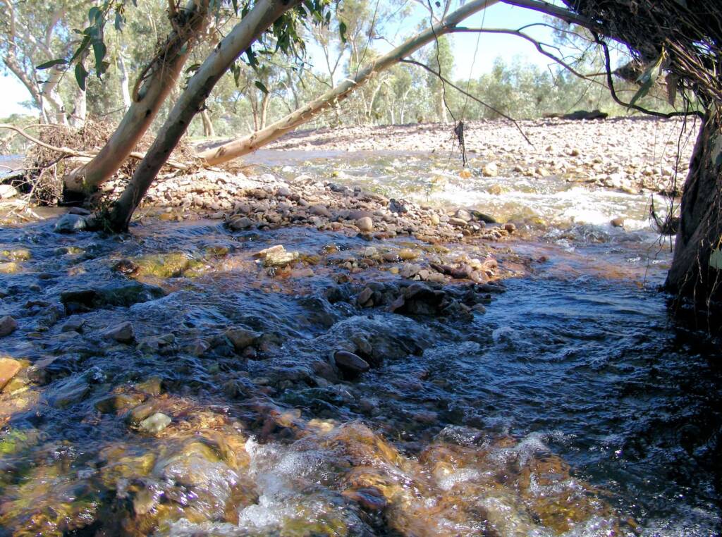 Birthday Waterhole, Tjoritja /​ West MacDonnell National Park