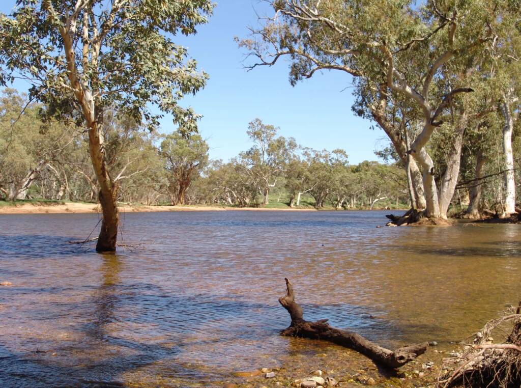 Birthday Waterhole, Tjoritja /​ West MacDonnell National Park
