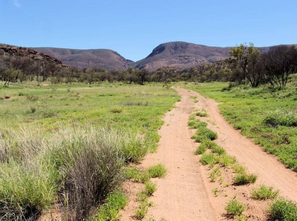 Birthday Waterhole, Tjoritja / West MacDonnell National Park