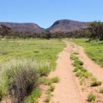 Birthday Waterhole, Tjoritja /​ West MacDonnell National Park