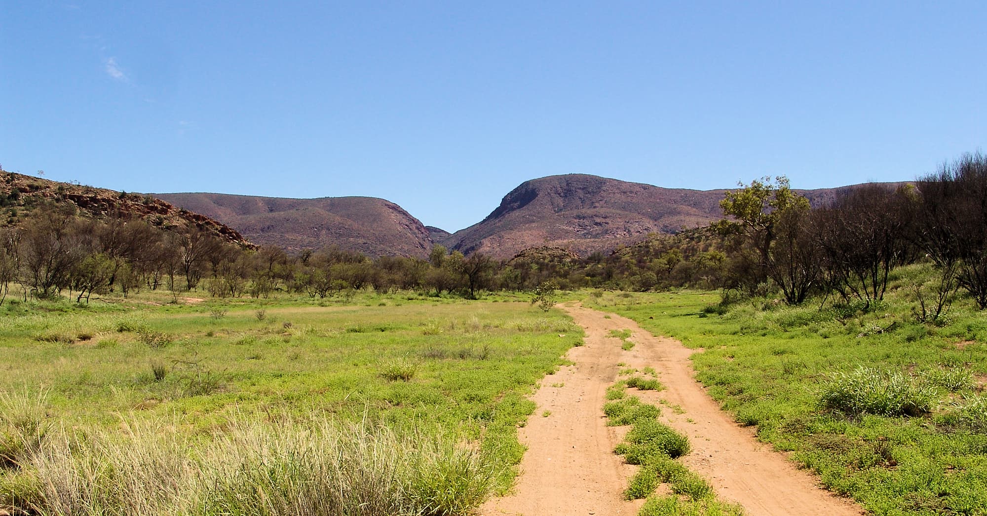 Birthday Waterhole, Tjoritja /​ West MacDonnell National Park