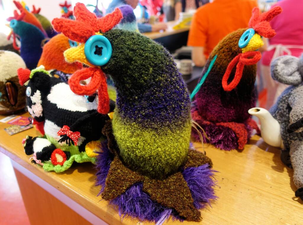 Alice Springs Beanie Festival 2017