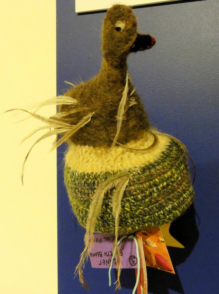Alice Springs Beanie Festival 2014
