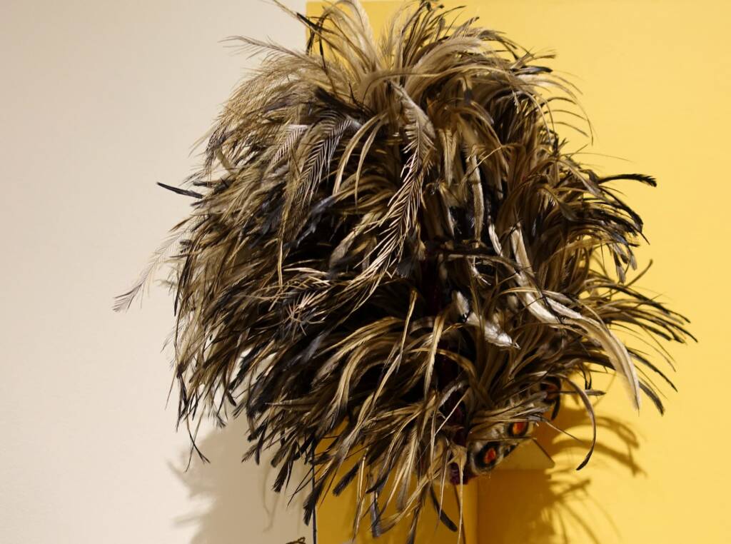 Alice Springs Beanie Festival 2021