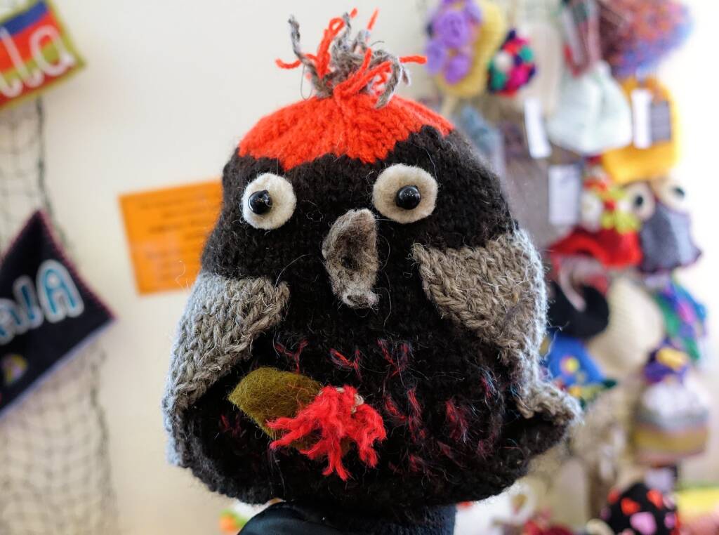 Alice Springs Beanie Festival 2019