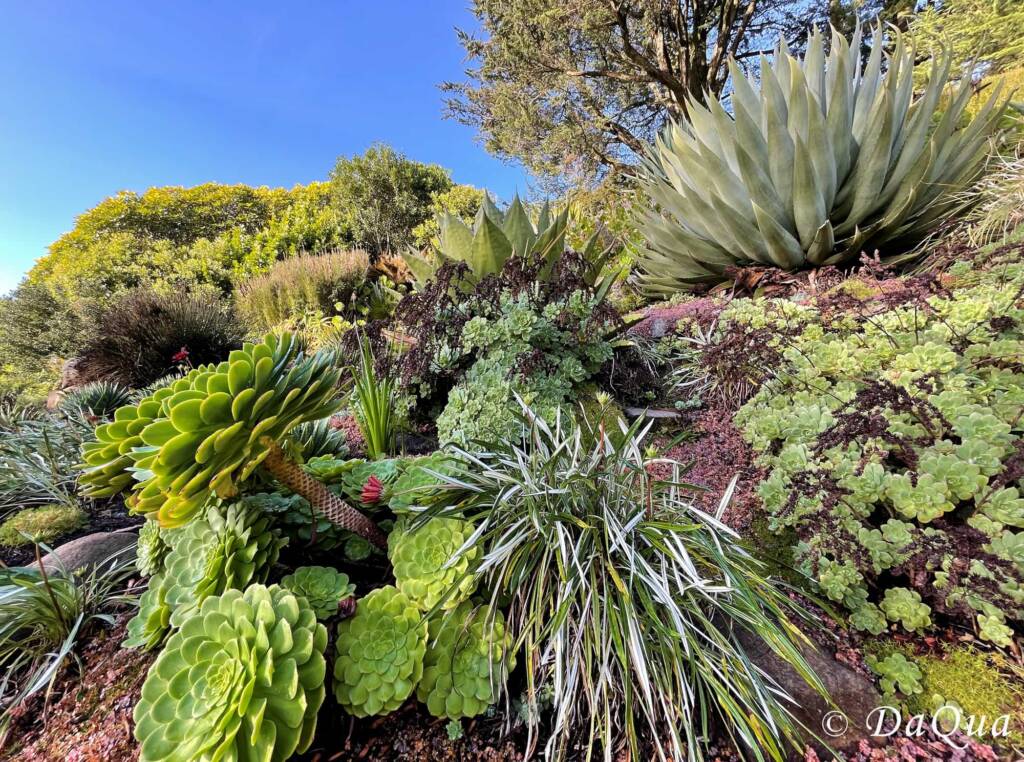 Larnach Castle Gardens, Dunedin, New Zealand