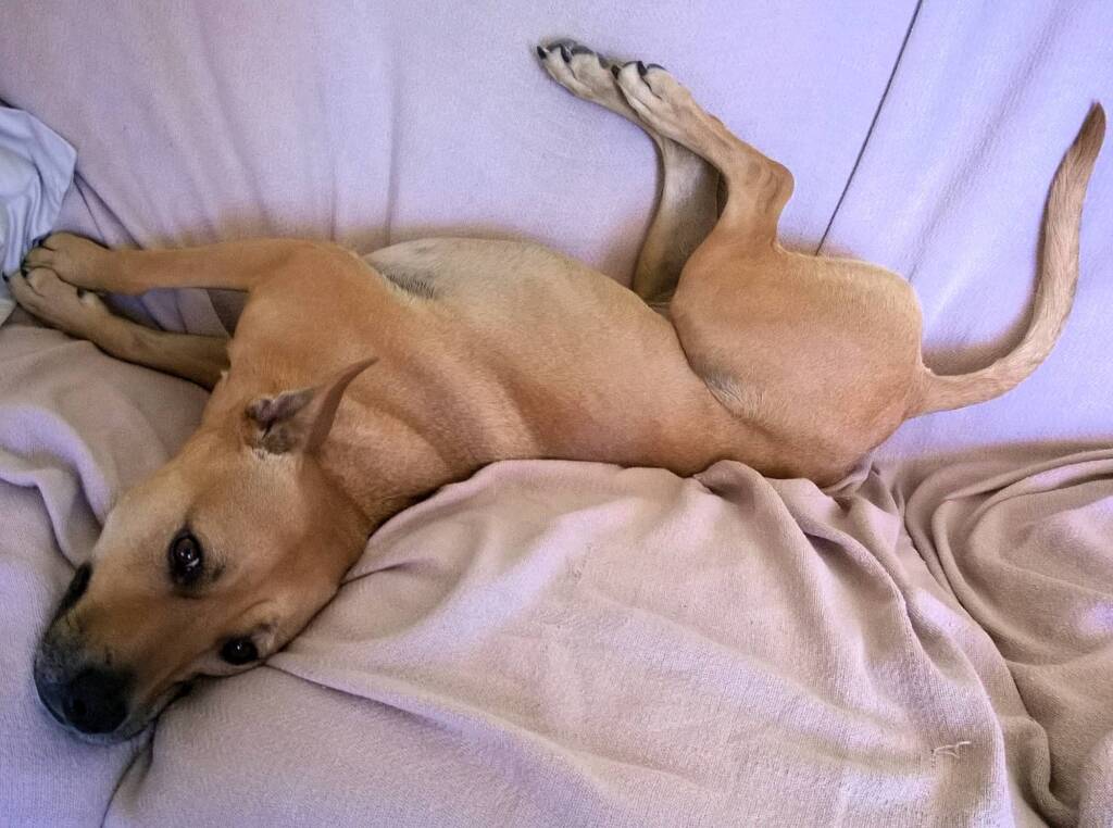Ro relaxing...
