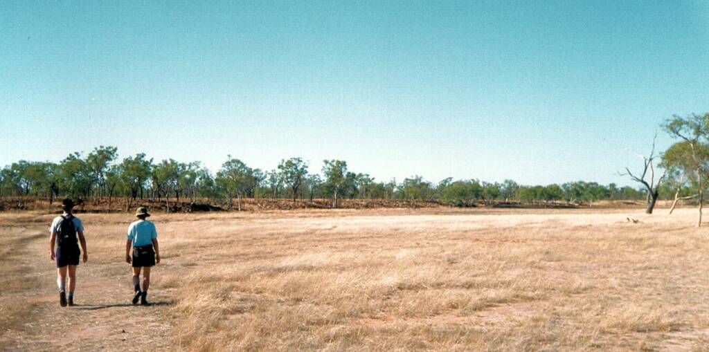 Bush walk in Undarra, Queensland