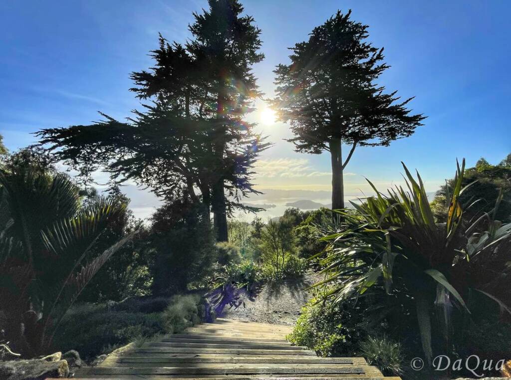 View of Larnach Castle Gardens, Dunedin, New Zealand