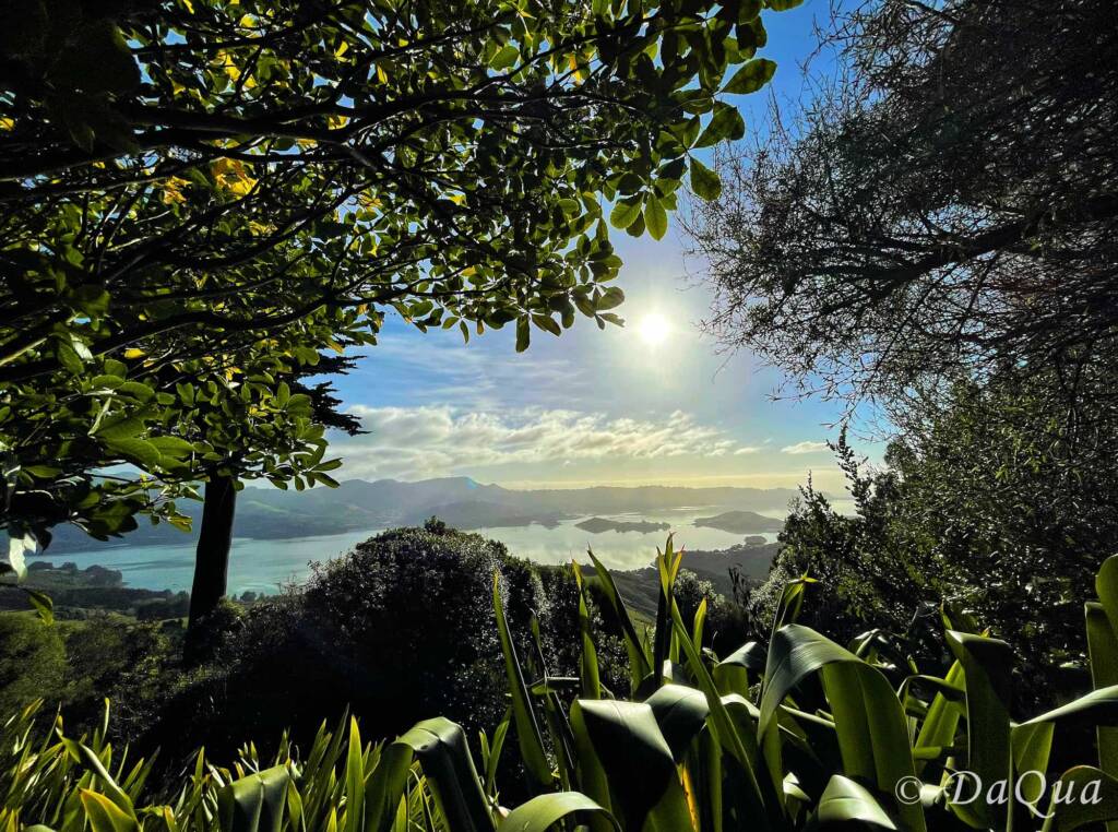 View from Larnach Castle Gardens at 300m above sea level