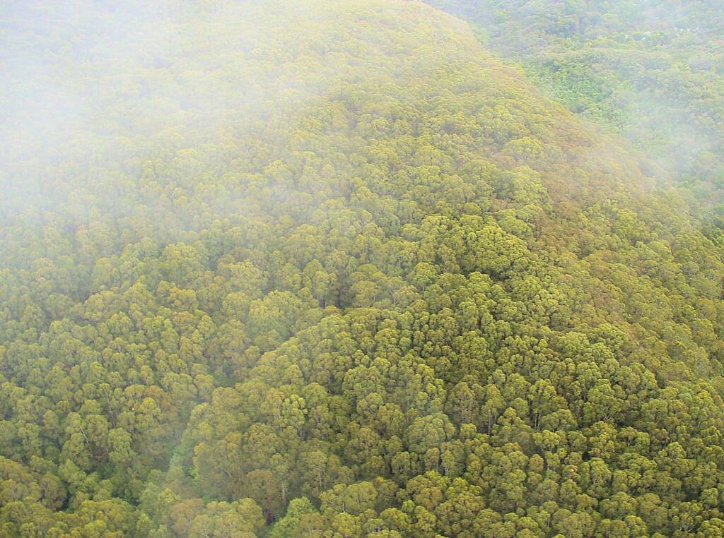 Aerial view over surrounds of the Great Ocean Road, VIC
