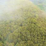 Aerial view over surrounds of the Great Ocean Road, VIC