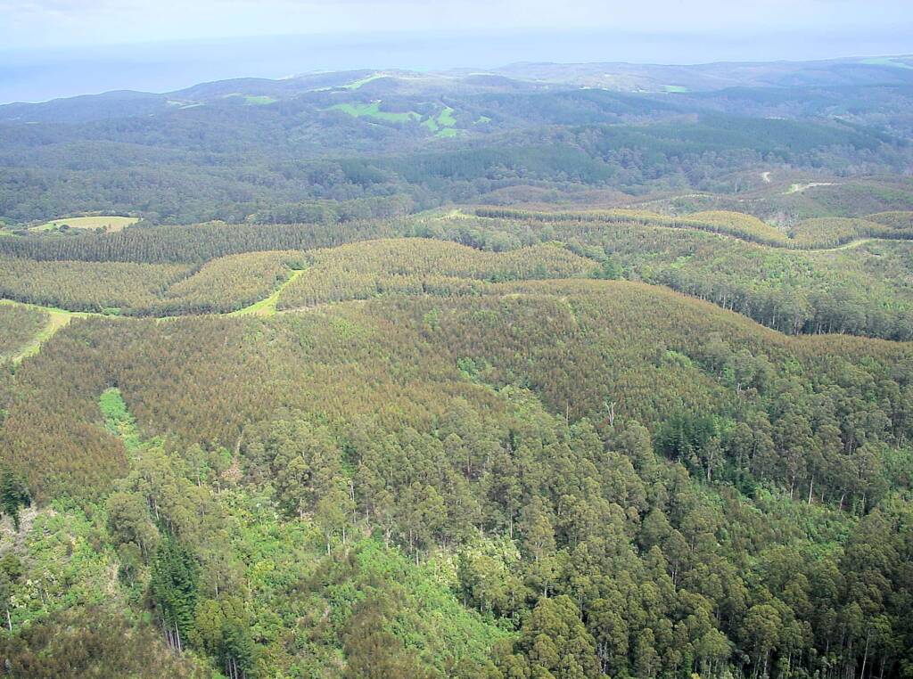 Aerial view over surrounds of the Great Ocean Road, VIC