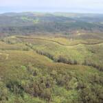 Aerial view over surrounds of the Great Ocean Road, VIC