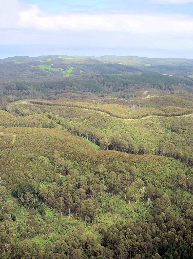 Aerial view over surrounds of the Great Ocean Road, VIC