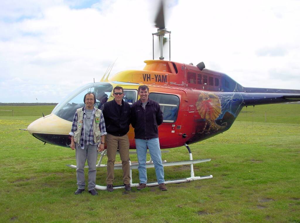 Helicopter tour for aerial view of the Great Ocean Road, VIC