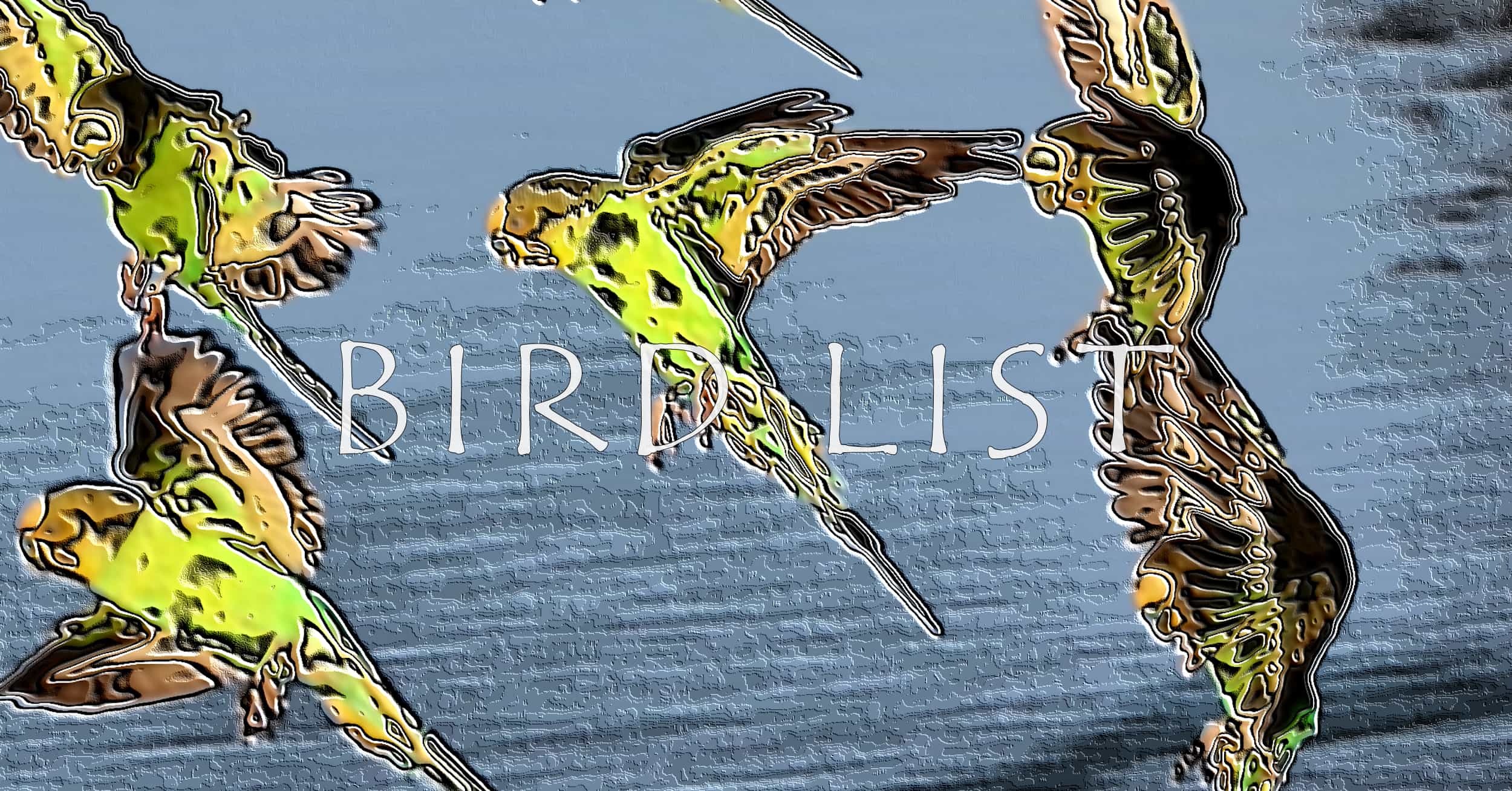 Bird List