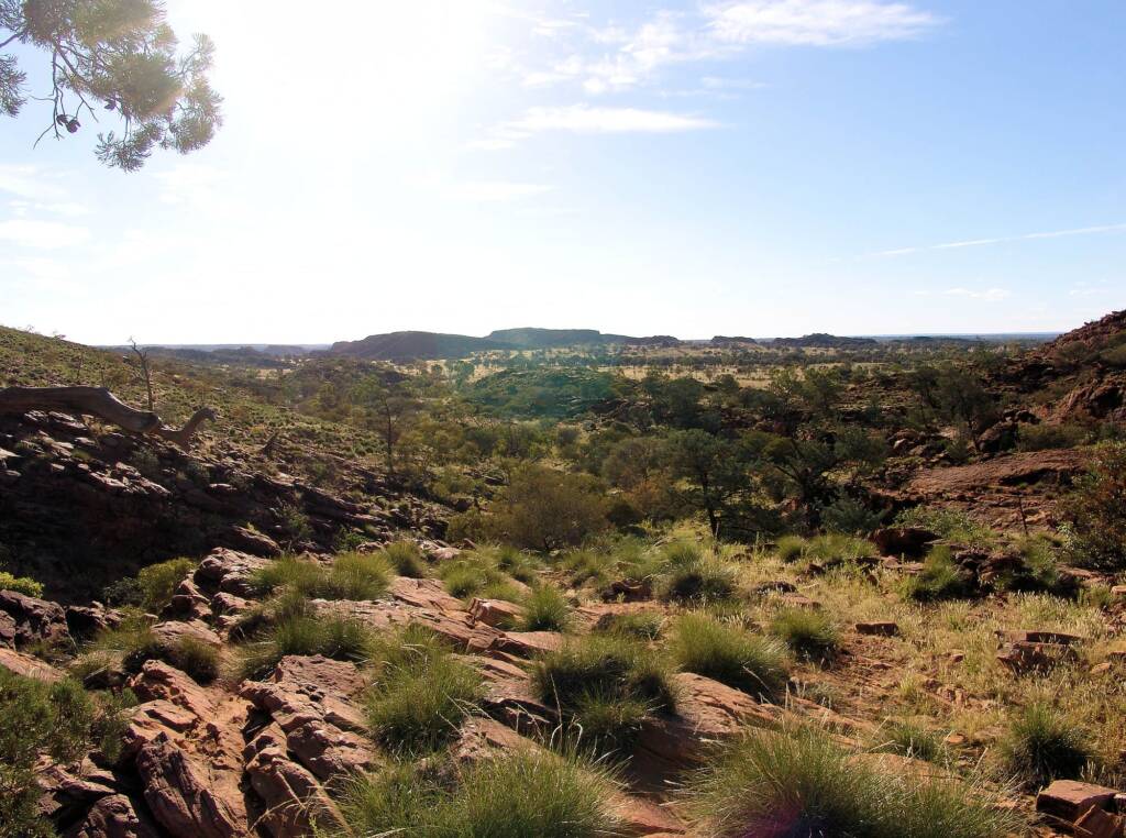 Hummock grassland slopes, Wurre / Rainbow Valley, NT