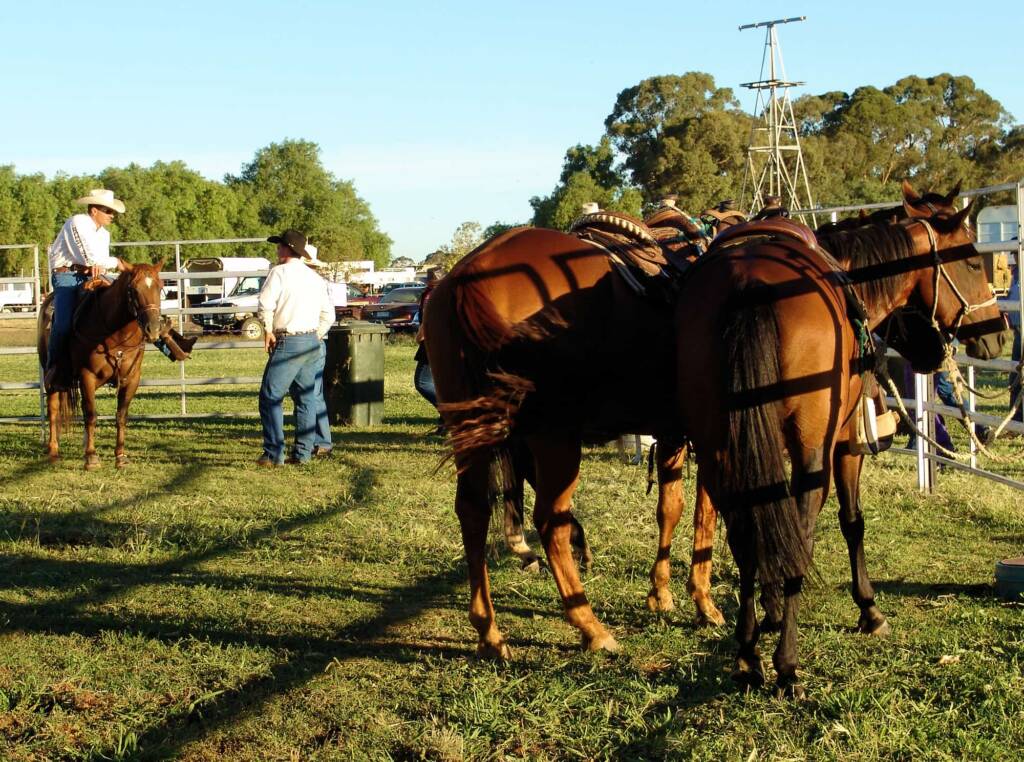 Kyabram Rodeo 2006, Victoria