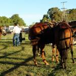 Kyabram Rodeo 2006, Victoria
