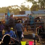 Kyabram Rodeo 2006, Victoria