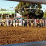 Kyabram Rodeo 2006, Victoria
