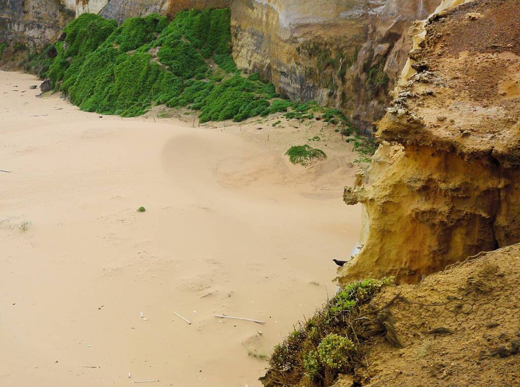 Little Penguin tracks across protected beach at London Bridge, Great Ocean Road, VIC