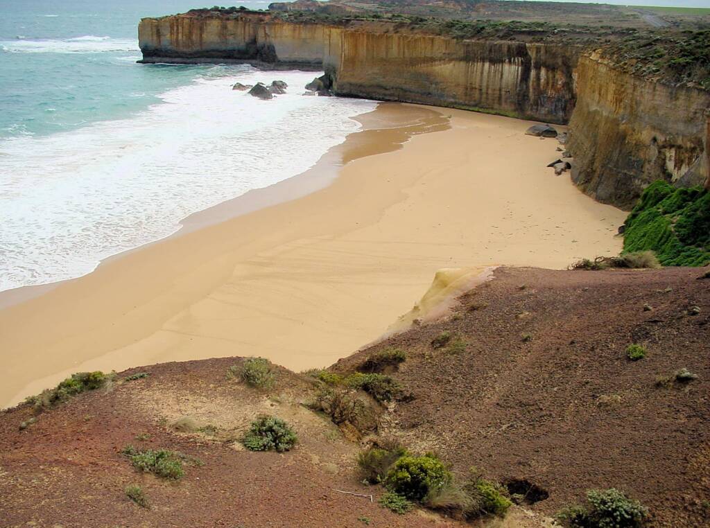 Little Penguin tracks across protected beach at London Bridge, Great Ocean Road, VIC