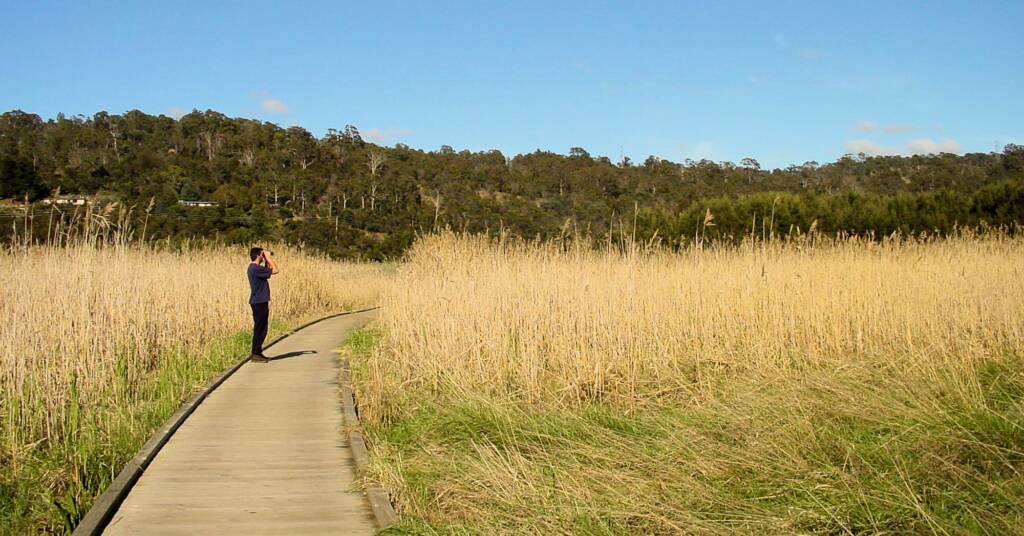 Tamar Wetlands, Tasmania