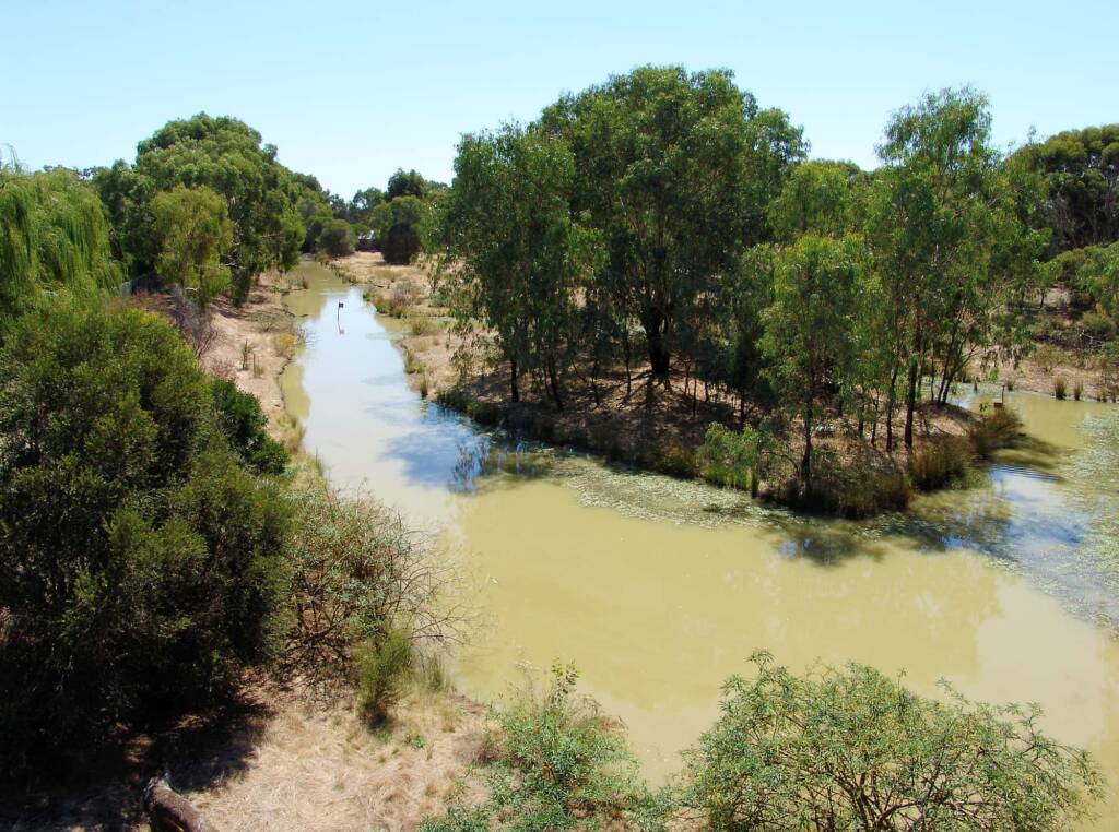 Wetlands in the Kyabram Fauna Park, VIC