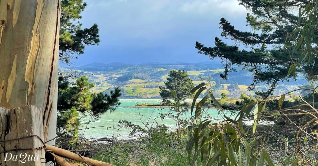Doctors Point - Waitati Beach Reserve