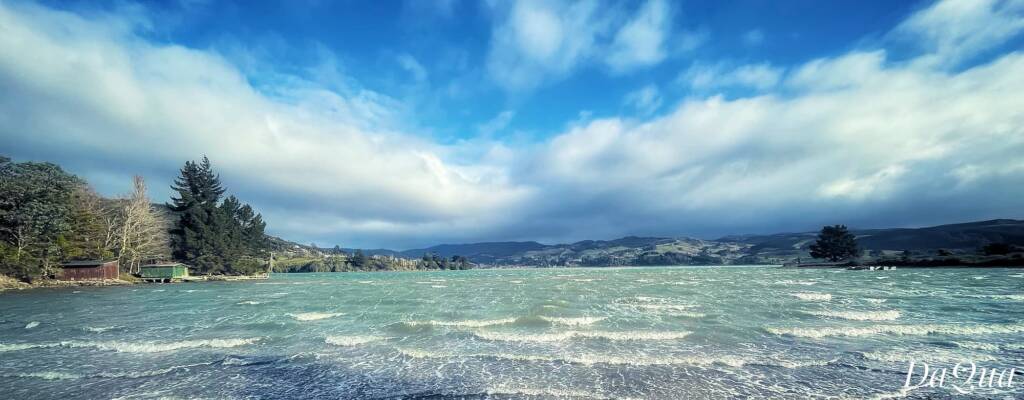 Waitati Wandering (part 2) - Bubbling water