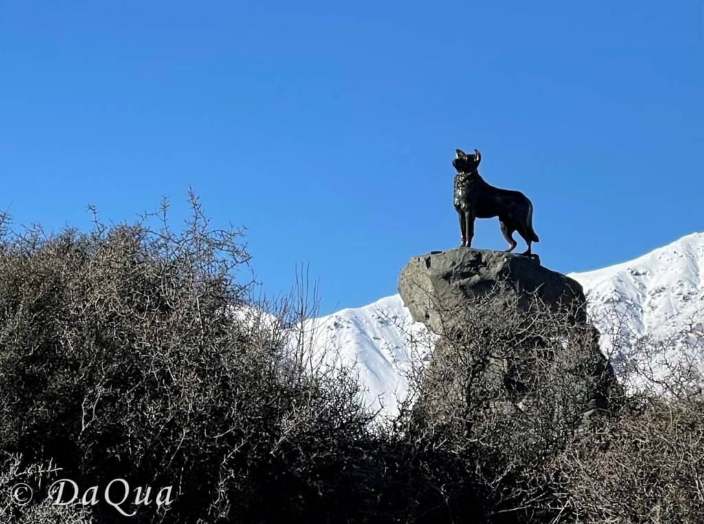 The Sheepdog Memorial, Lake Tekapo, New Zealand by DaQua