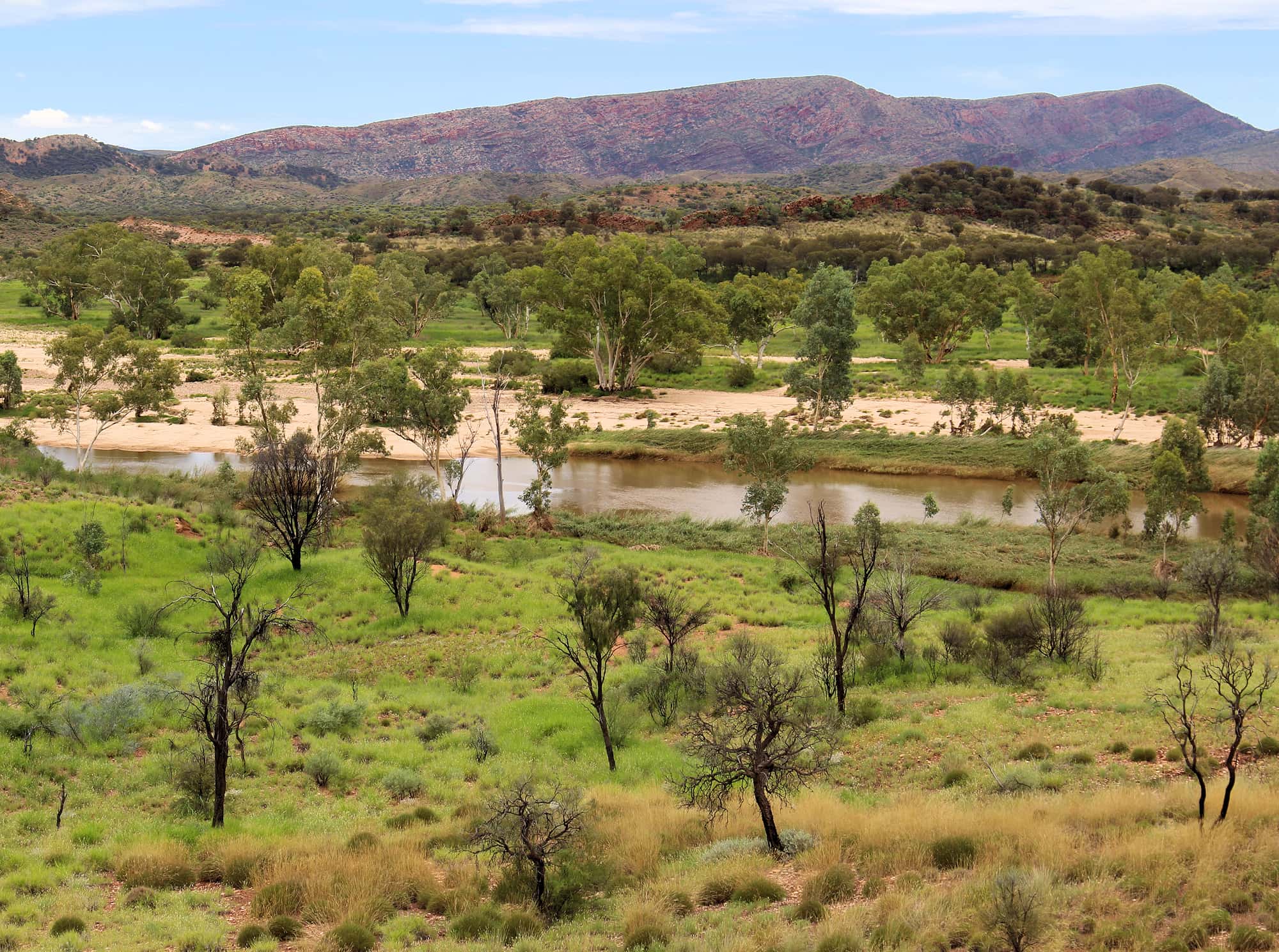 View of Finke Two Mile Bush Camping Area 'Tjoritja' from Mount Sonder Lookout