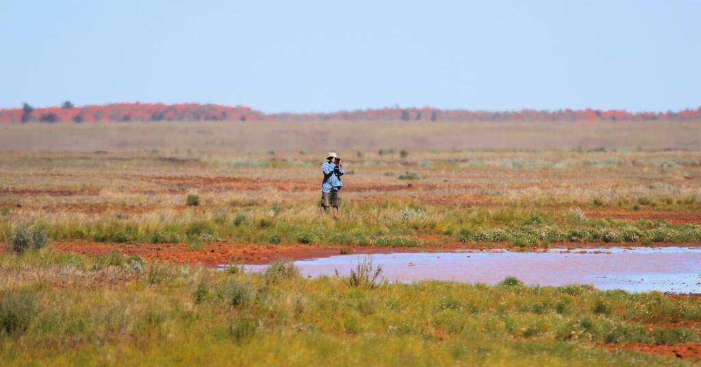 Views on the Binns Track, NT