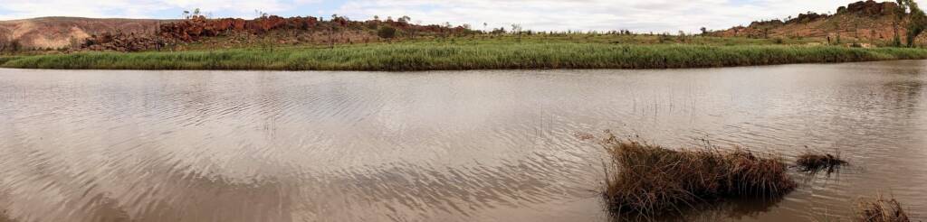 Water in the Finke River at Two Mile, 'Tjoritja' - West MacDonnell National Park