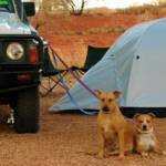Pup and Ro