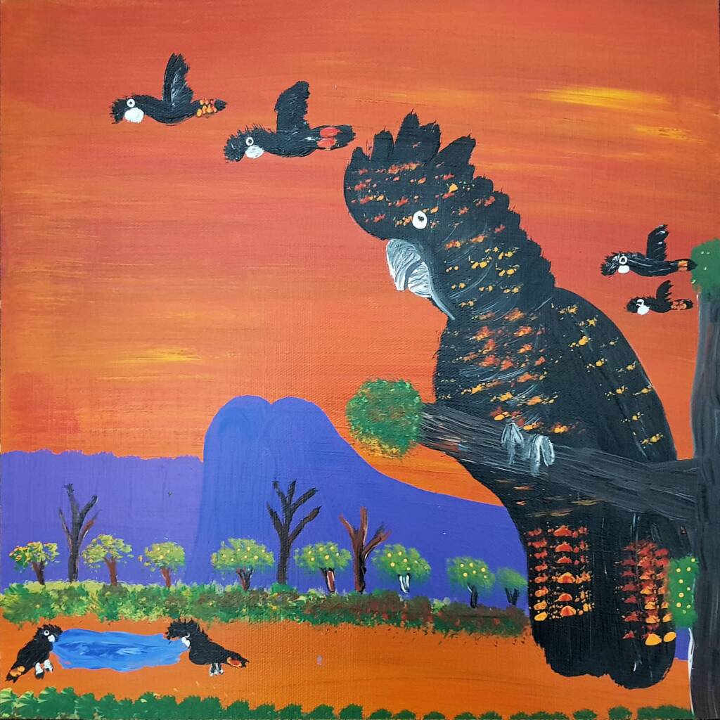 Red-tailed Black Cockatoo, 2021 by Kukula McDonald