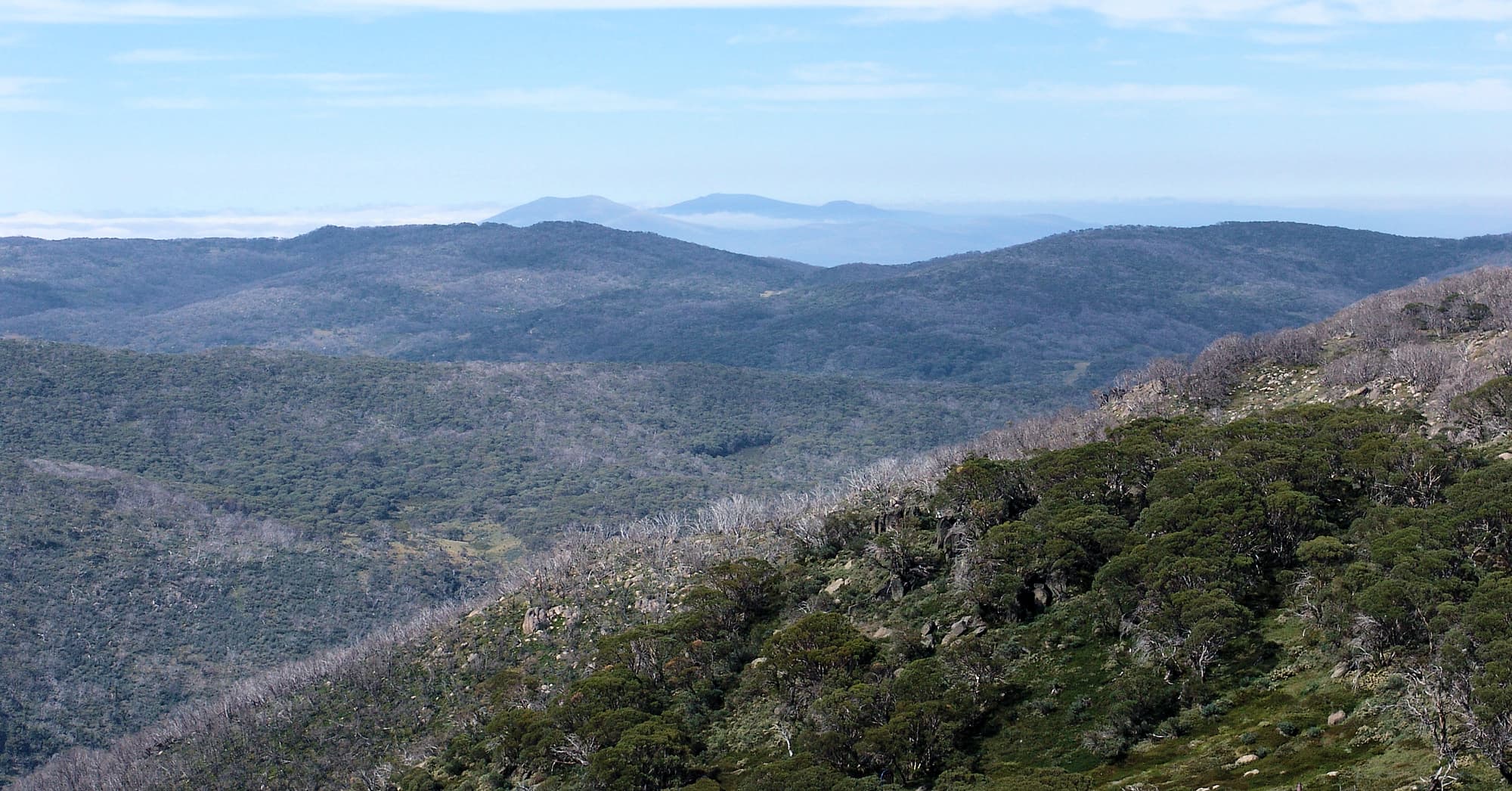View across Mount Kosciuszko, Snowy Mountains Region