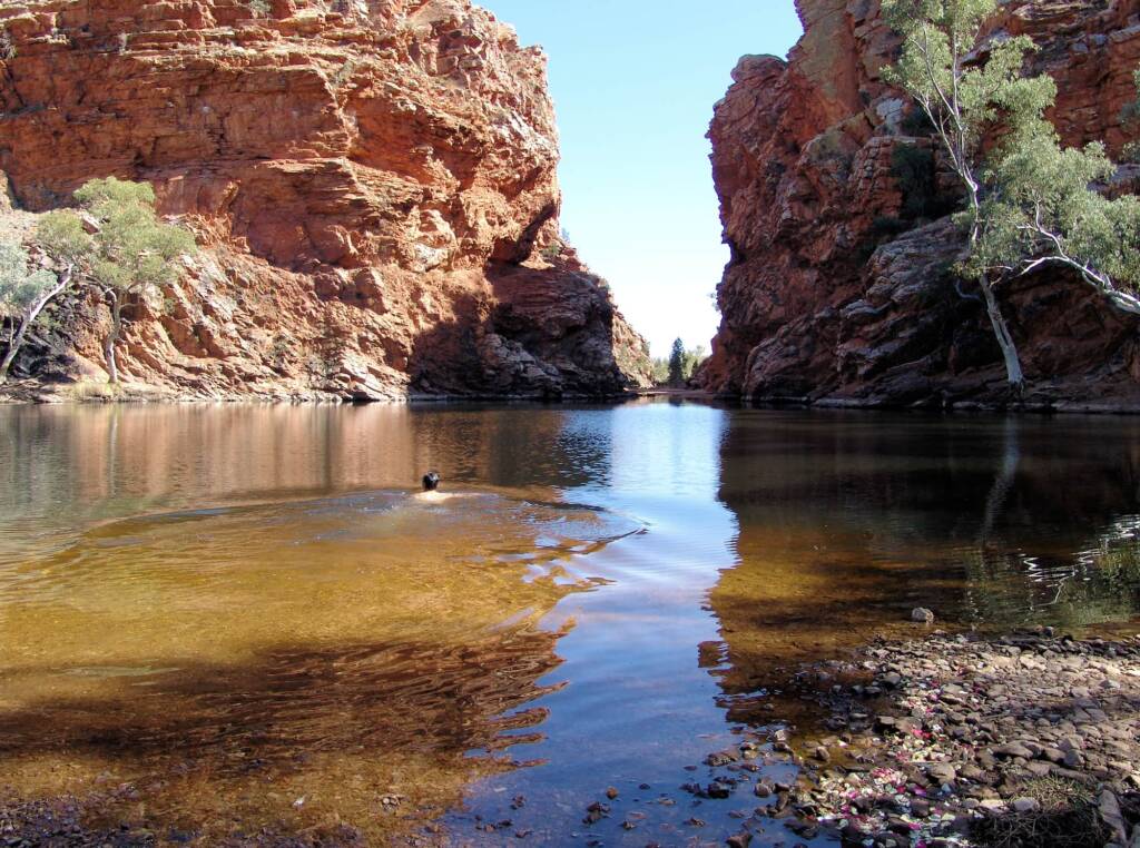 Friends in Alice Springs, Central Australia
