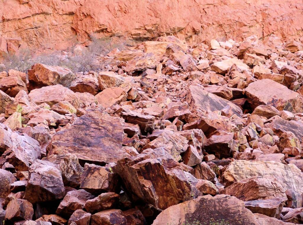 Friends in Alice Springs, Central Australia