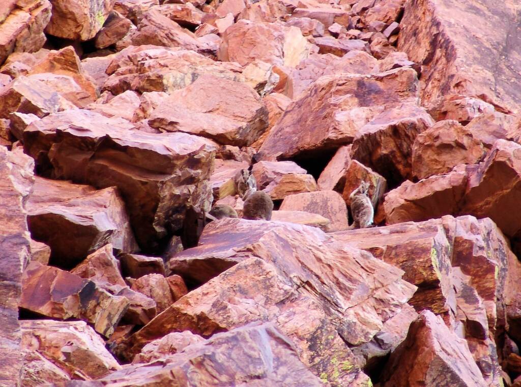 Friends in Alice Springs, Central Australia