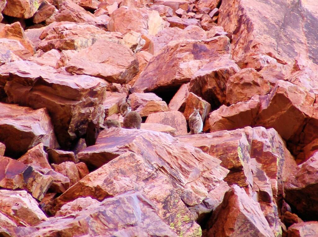 Friends in Alice Springs, Central Australia