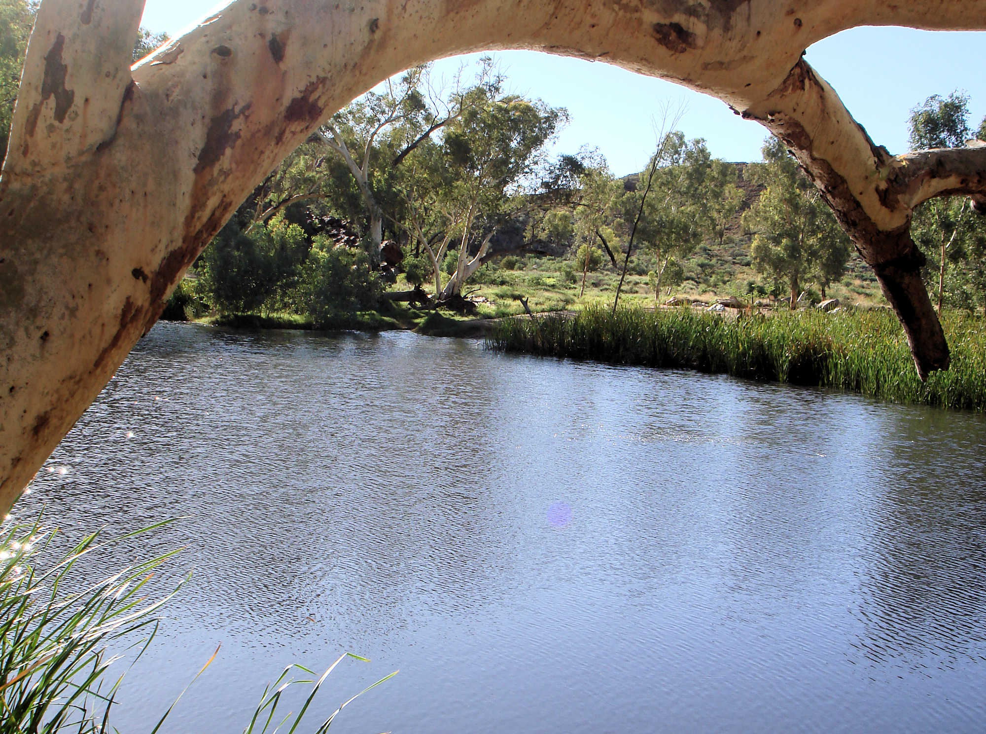 Ellery Creek / Ellery Creek Big Hole, NT