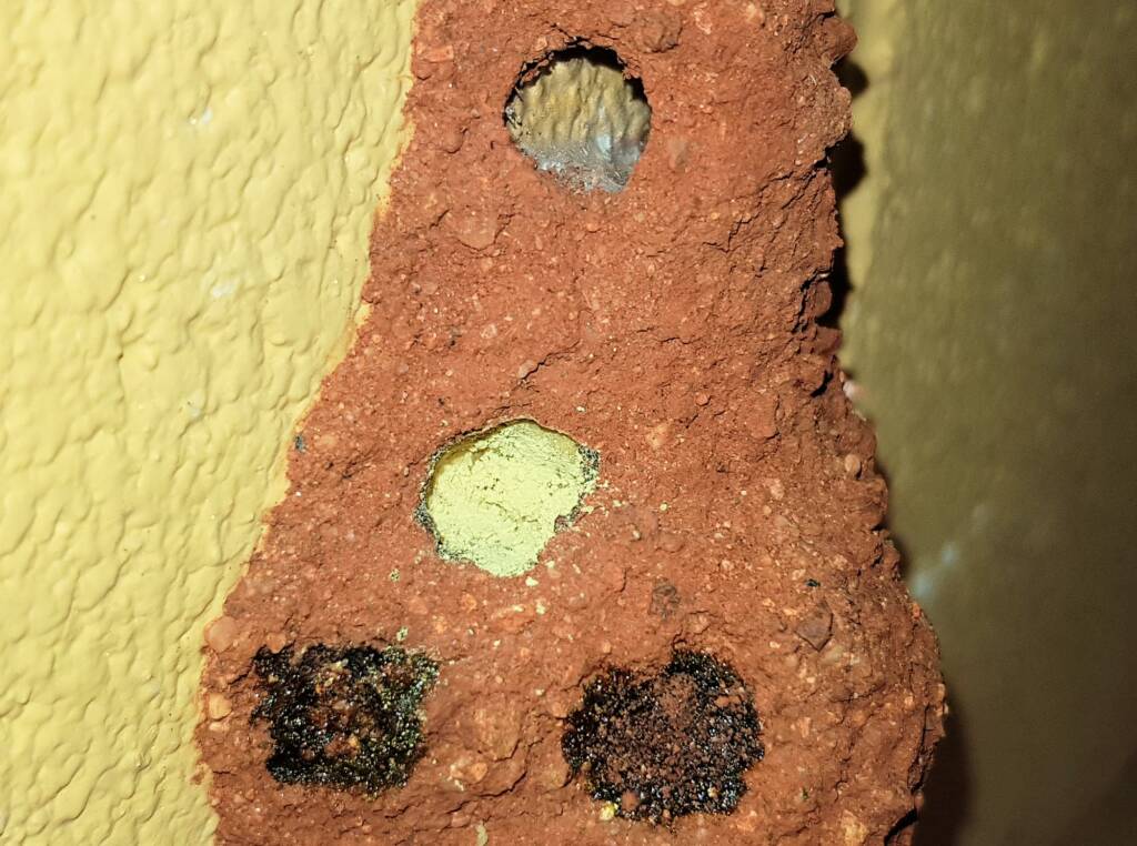 Pollen in the nest of the Golden-browed Resin Bee (Megachile aurifrons), Alice Springs, NT