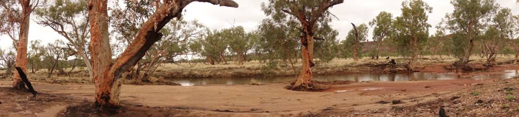 Jay Creek follows part of the Larapinta Drive, NT