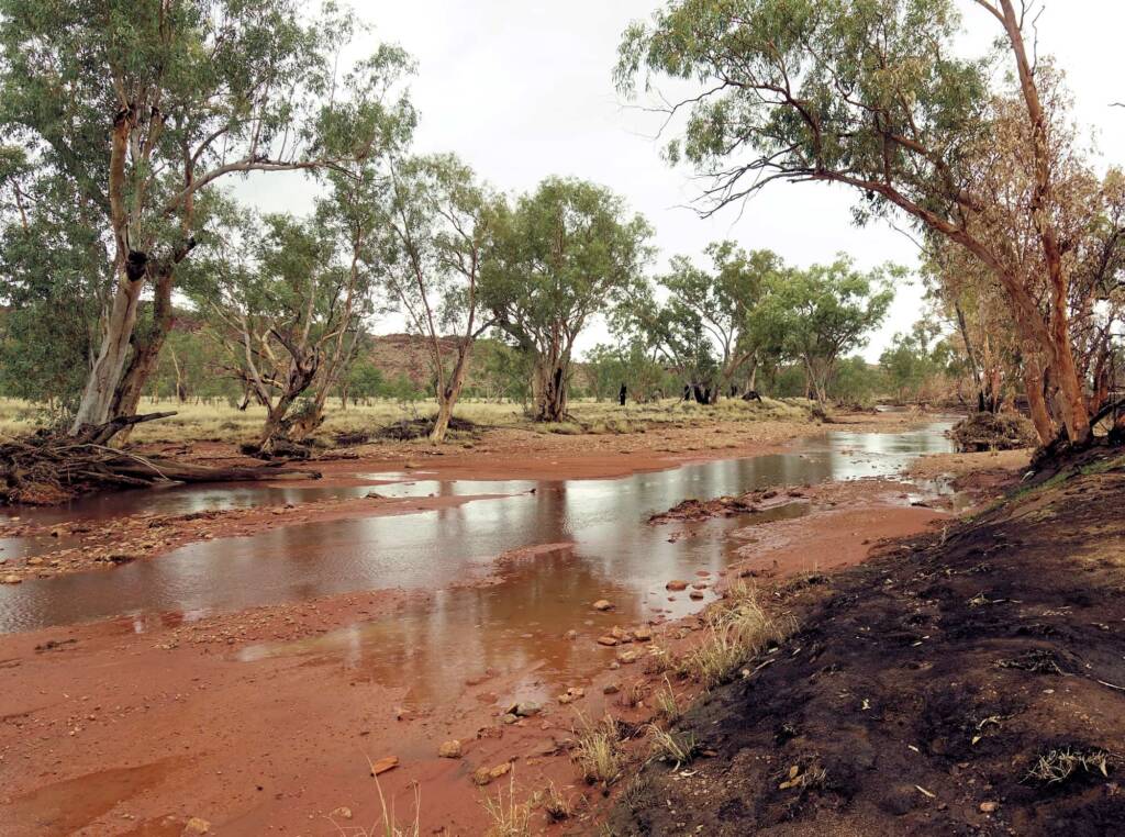 Jay Creek follows part of the Larapinta Drive, NT