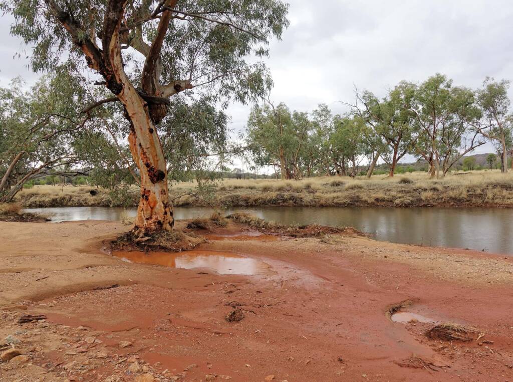 Jay Creek follows part of the Larapinta Drive, NT